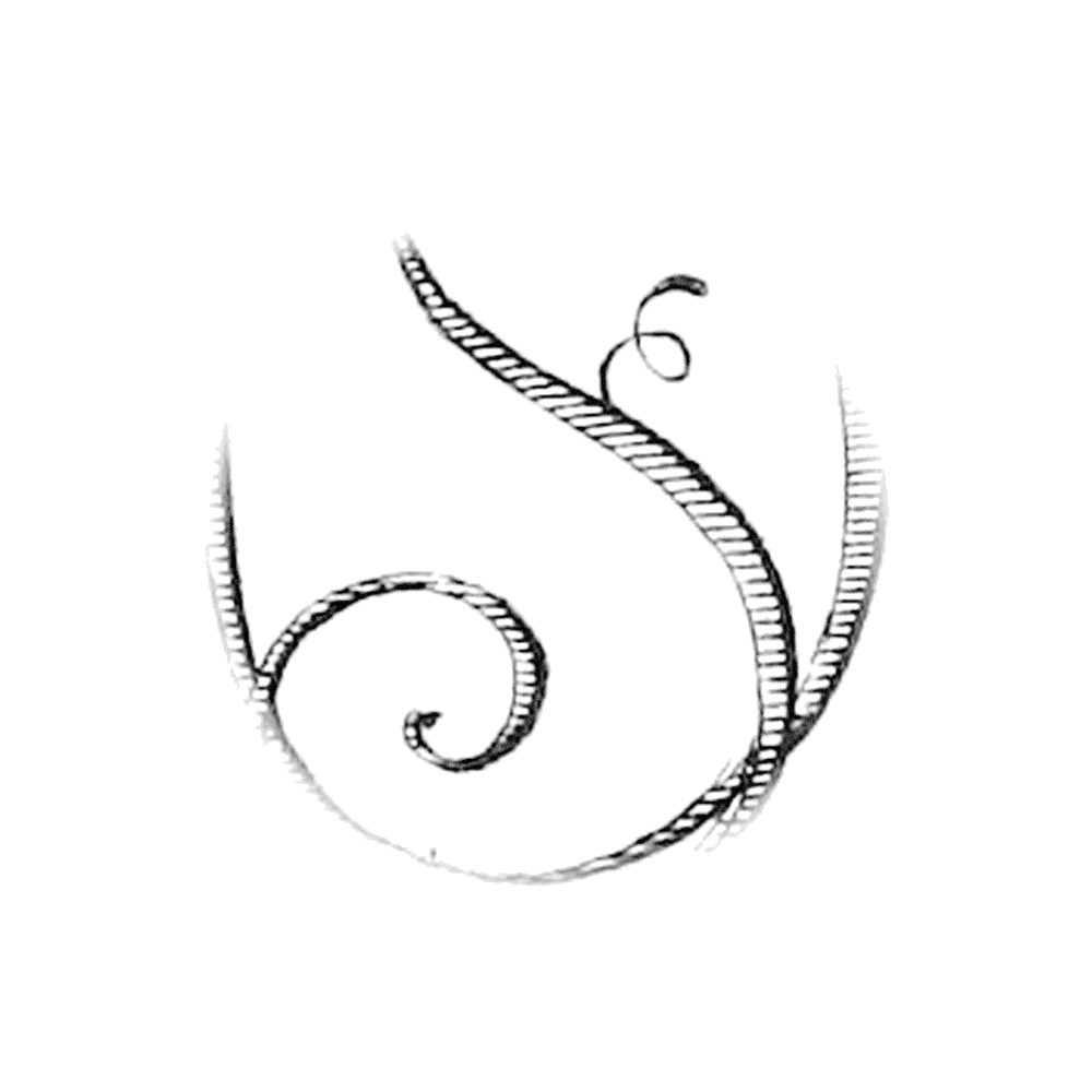 Plate II - OF