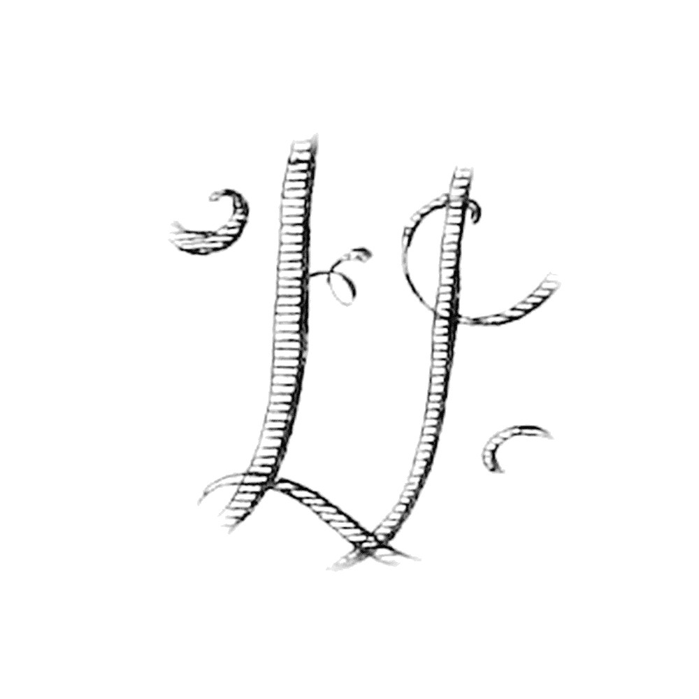 Plate VII - FP