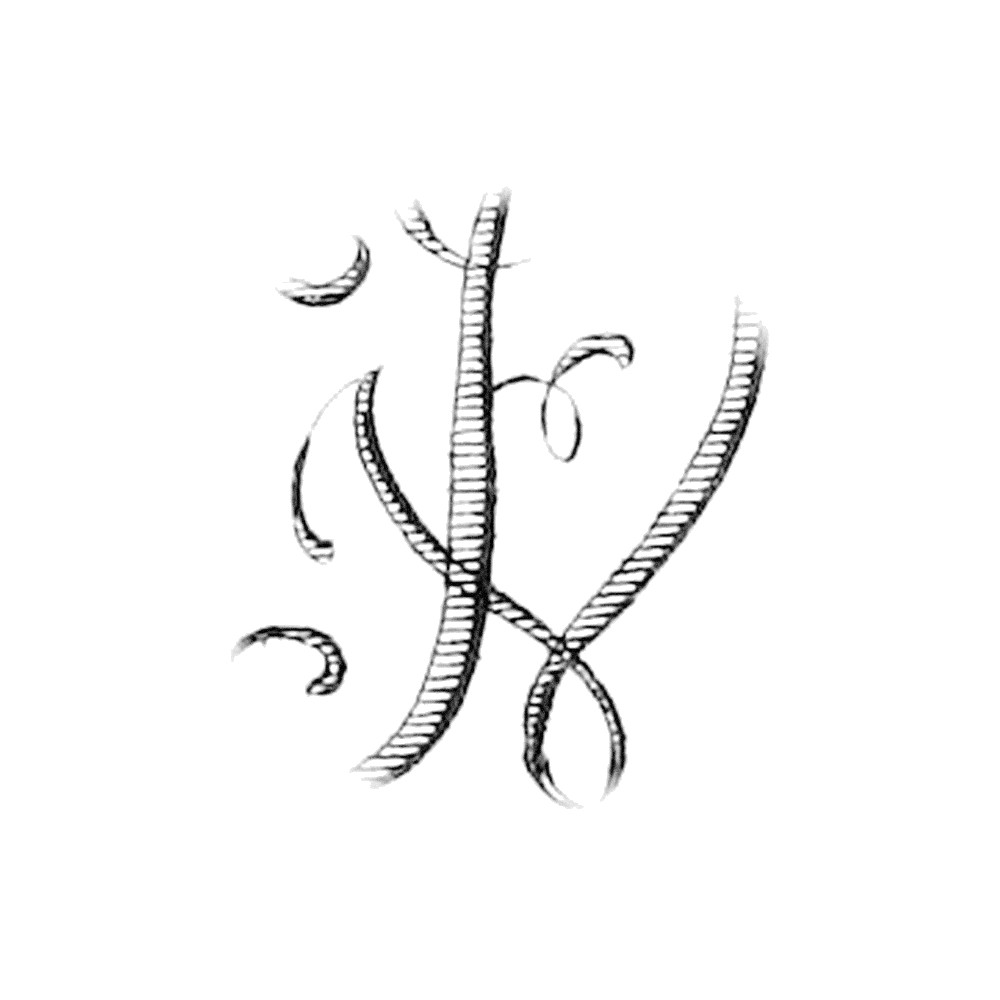 Plate V - FU