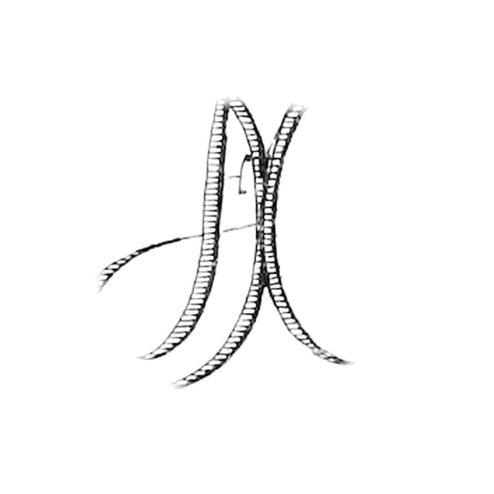 Plate IX - FX