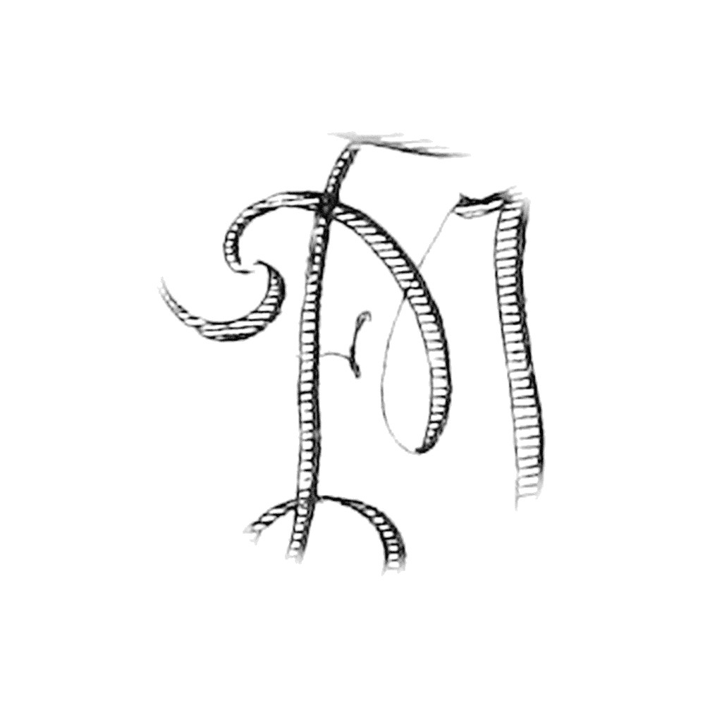 Plate II - YF