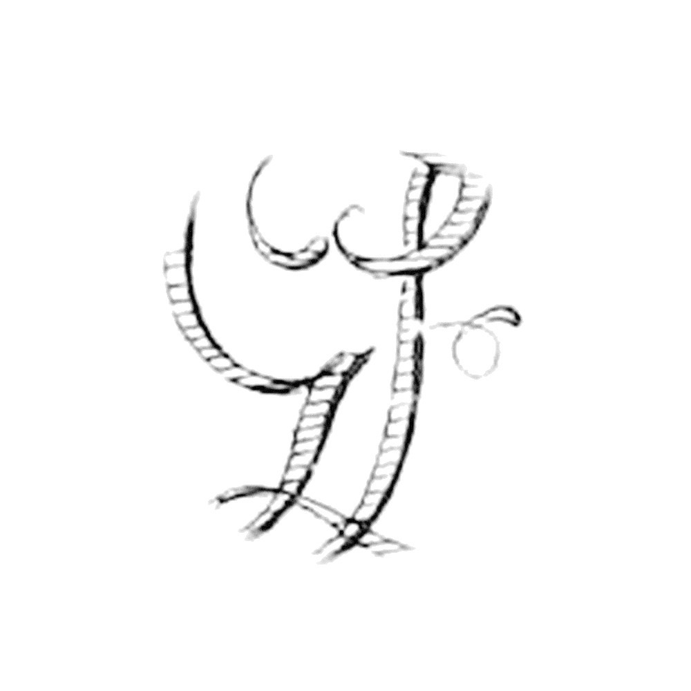 Plate VIII - EG