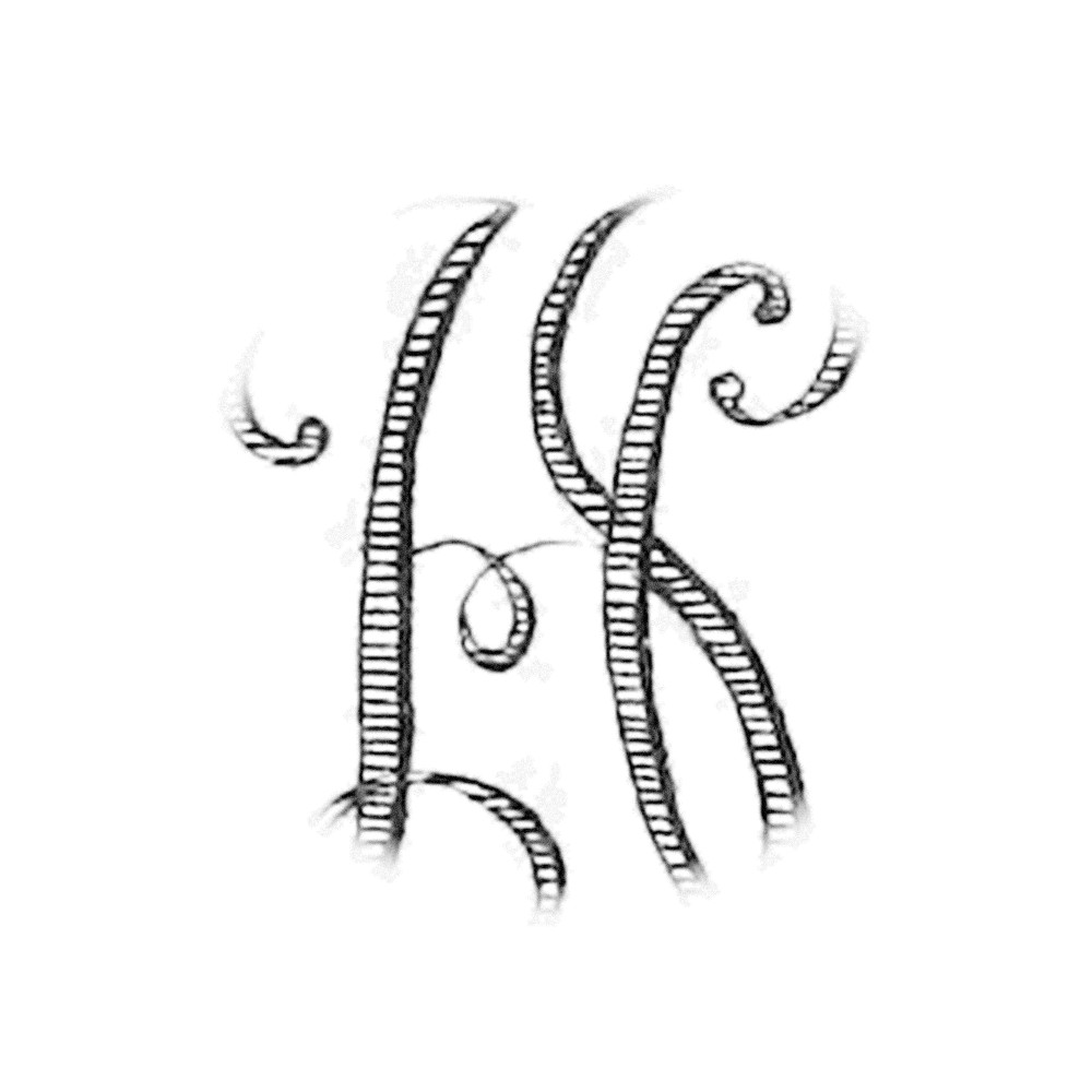 Plate V - HS