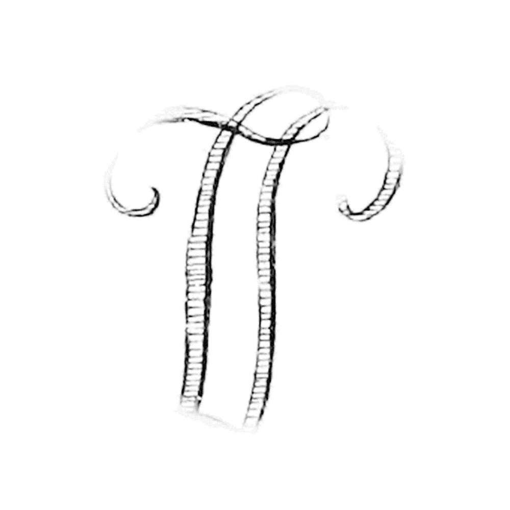 Plate III - IL