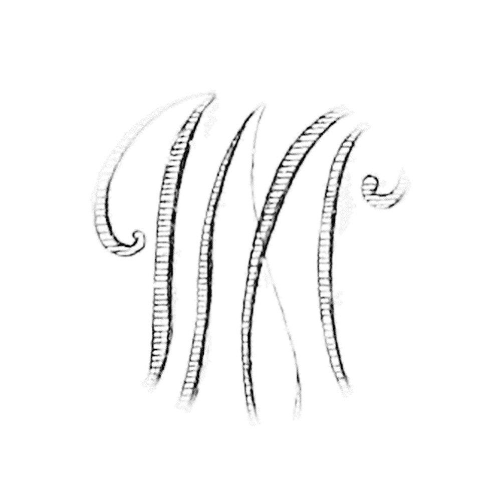 Plate III - IM