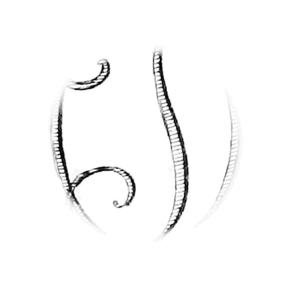 Plate II - IO