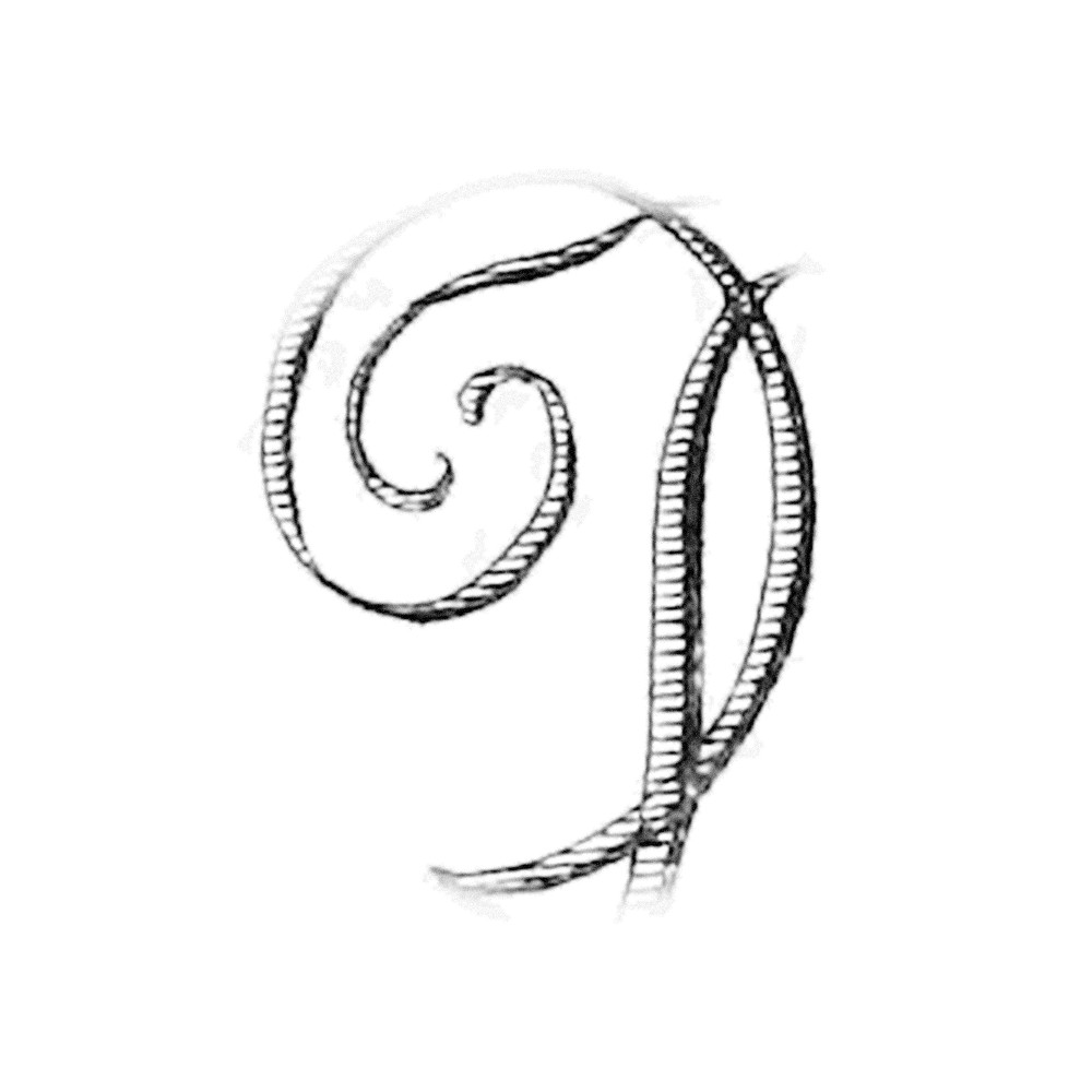 Plate II - QI