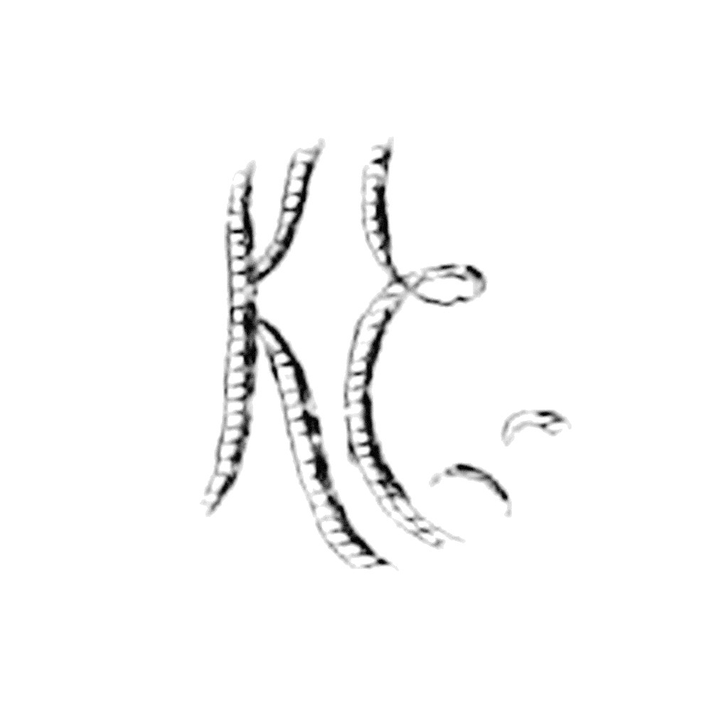 Plate V - KE