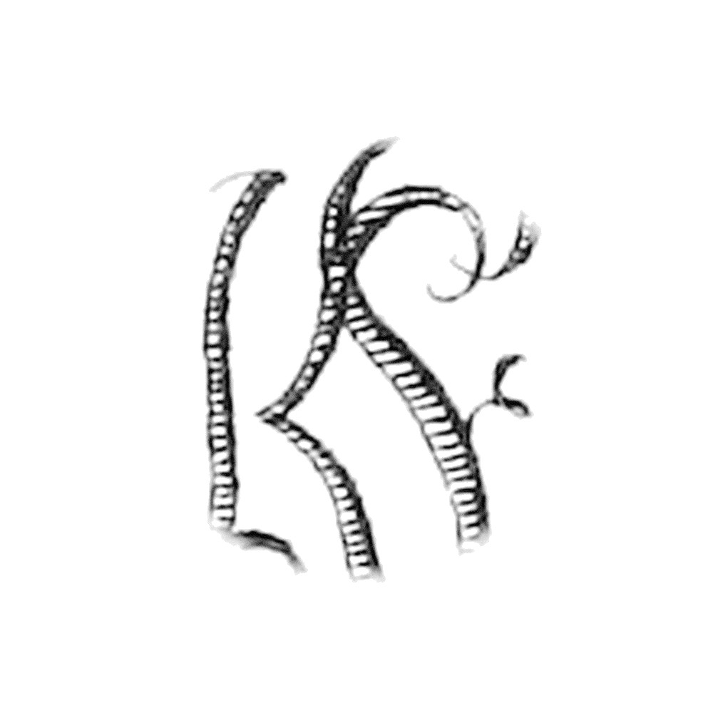 Plate V - FK