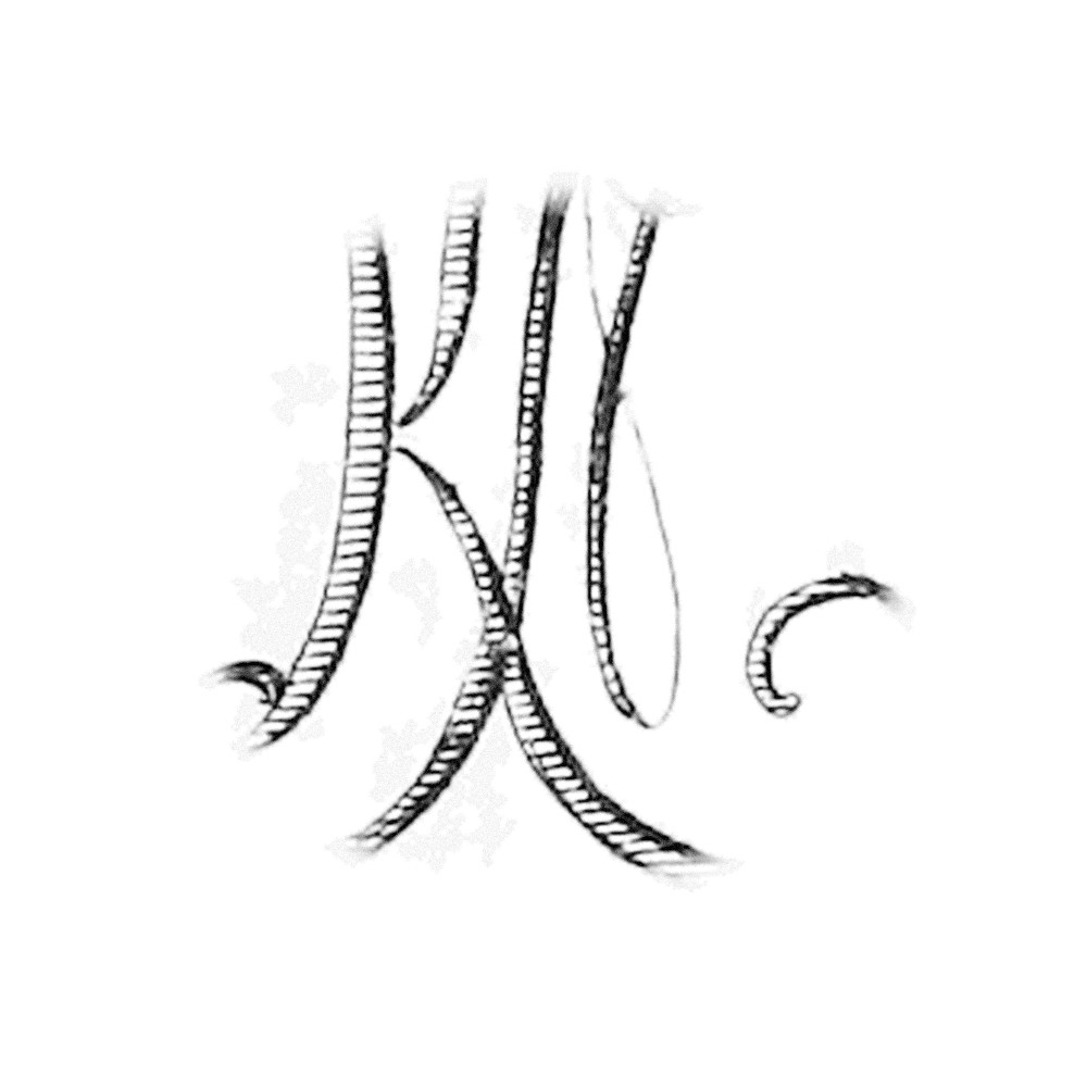 Plate III - NK