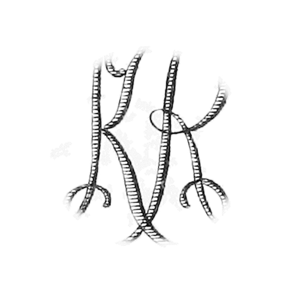 Plate VI - KR