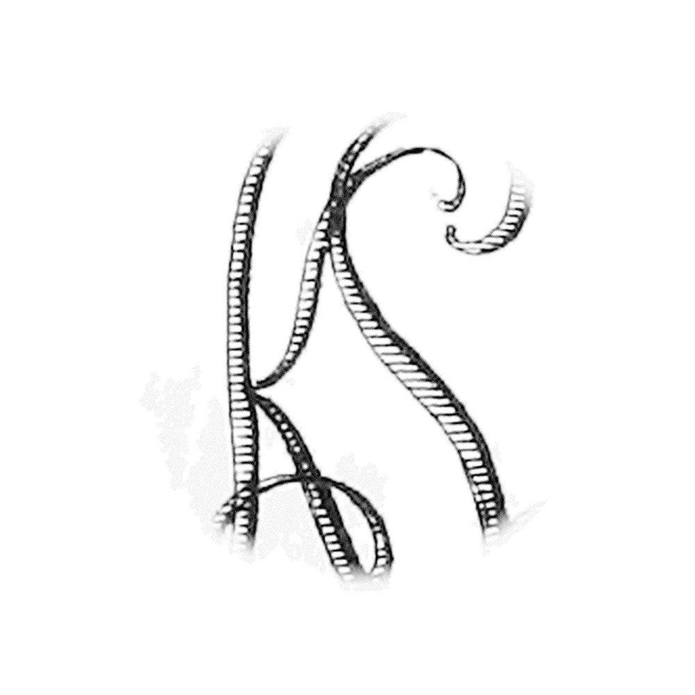 Plate VI - KS