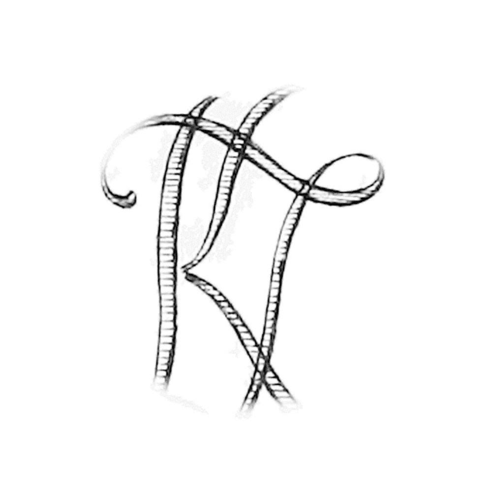 Plate V - KZ