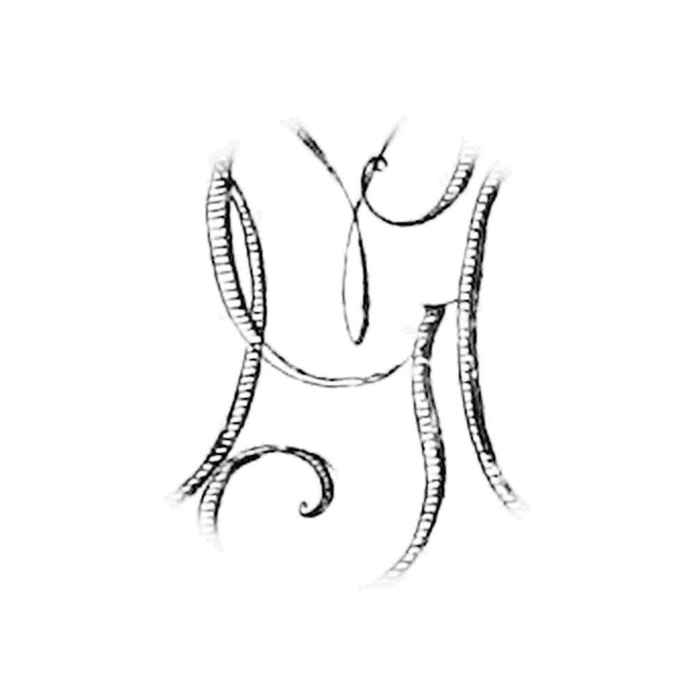 Plate VIII - GL