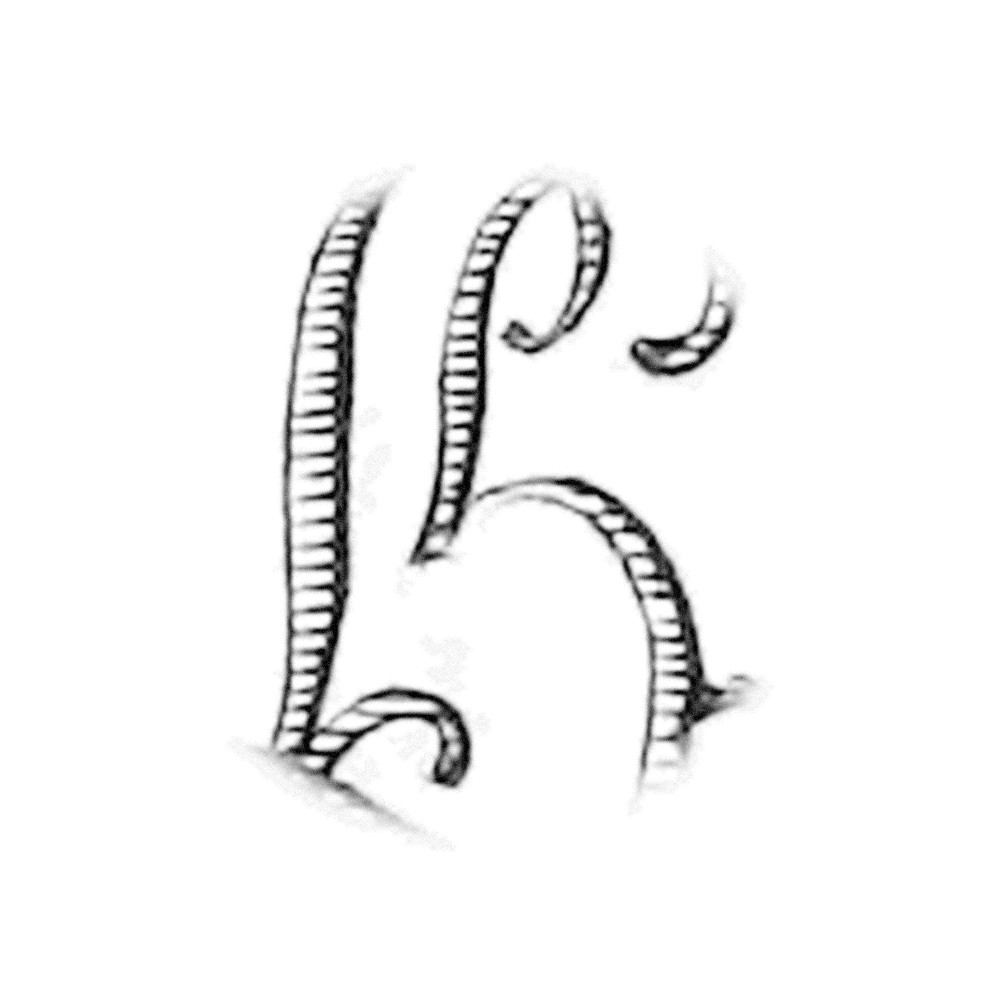 Plate VIII - HL
