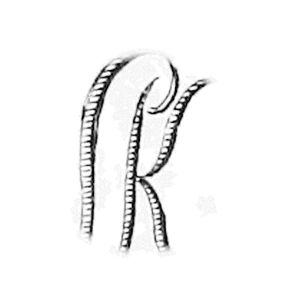 Plate VI - KL