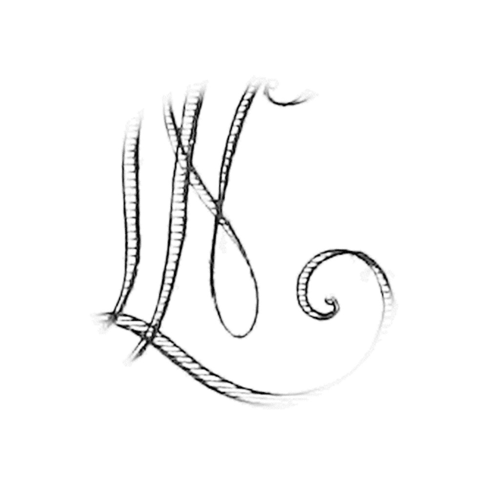 Plate VI - LN