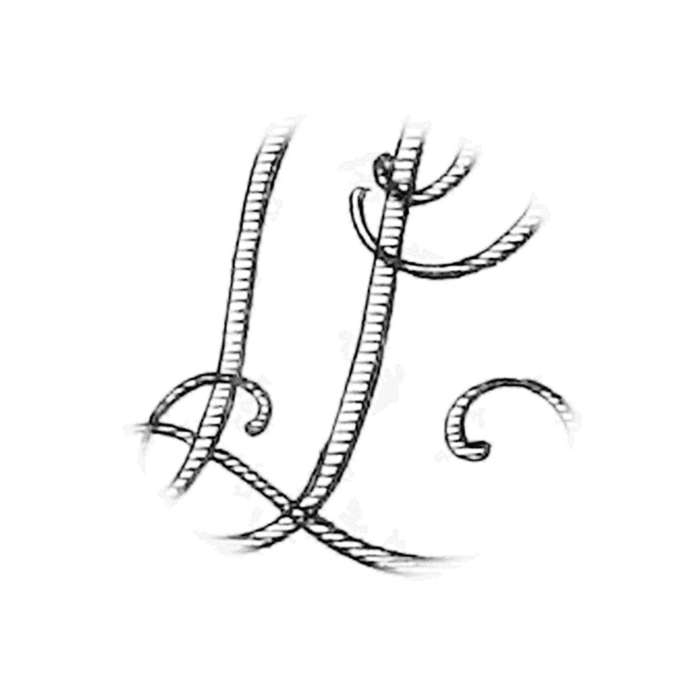 Plate VIII - LP