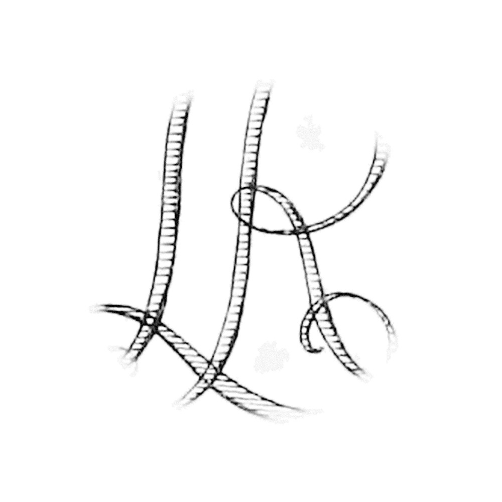Plate V - LR