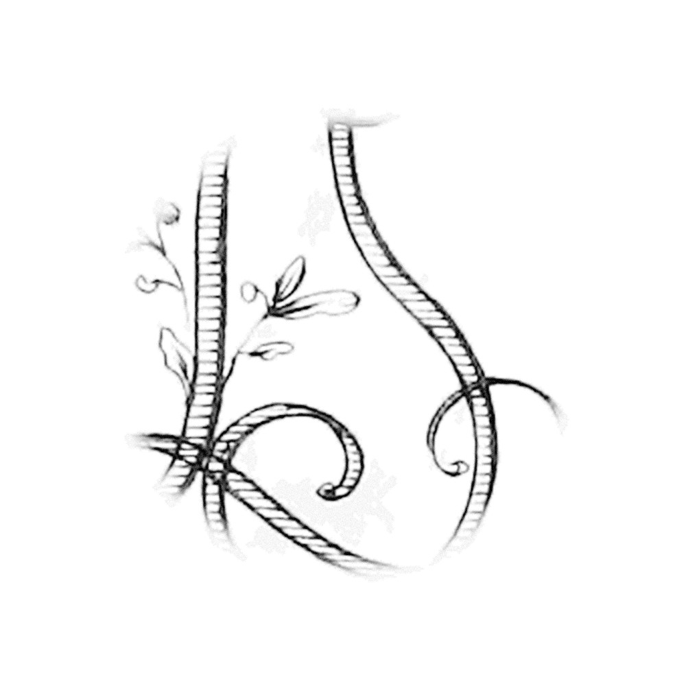 Plate V - LS
