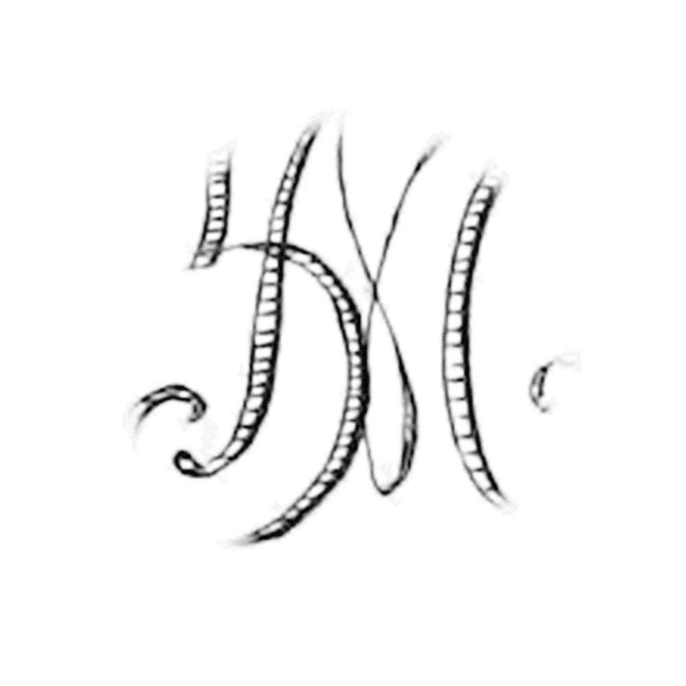 Plate VIII - HM