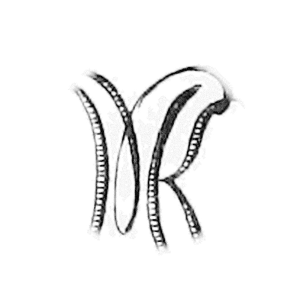 Plate V - MK