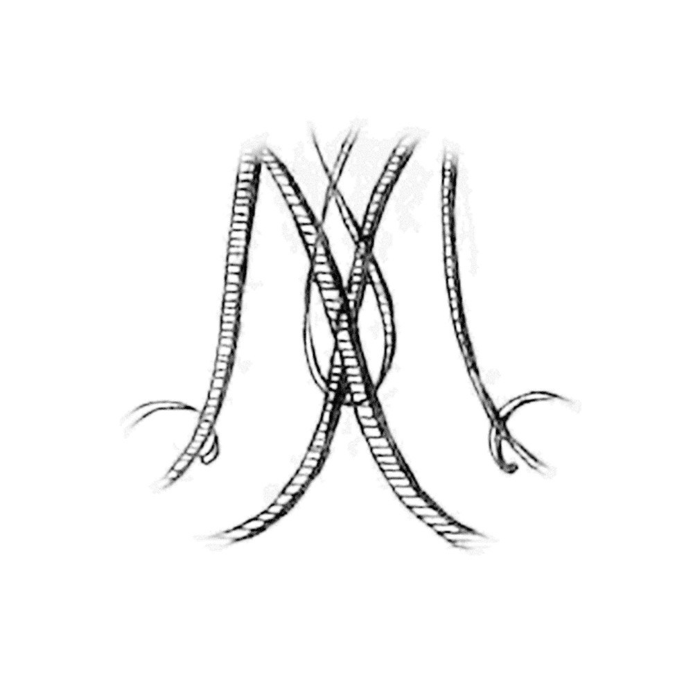 Plate VI - XM