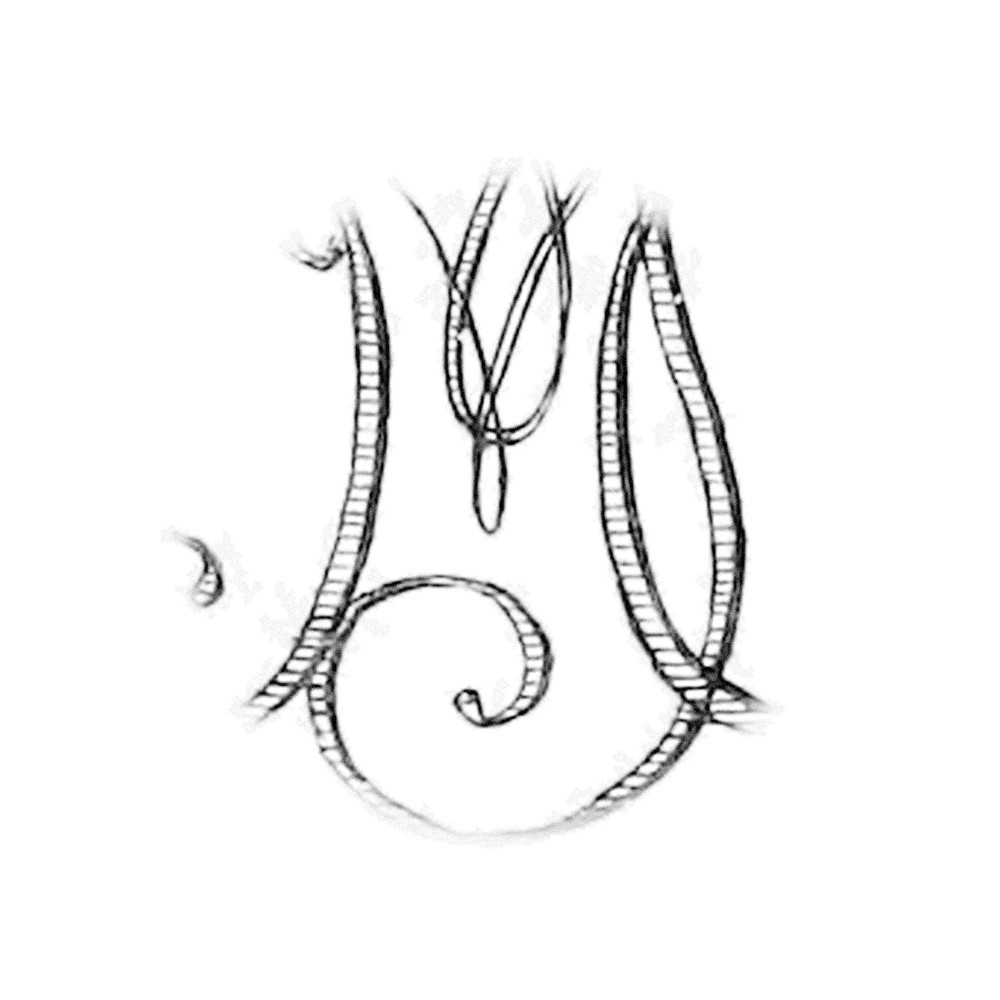 Plate II - YM