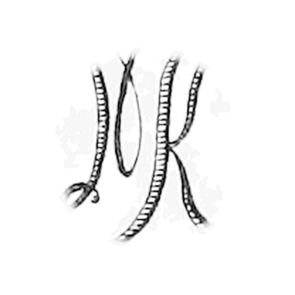 Plate IV - NK