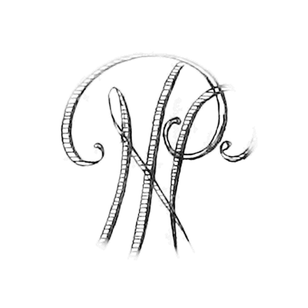 Plate VI - NP