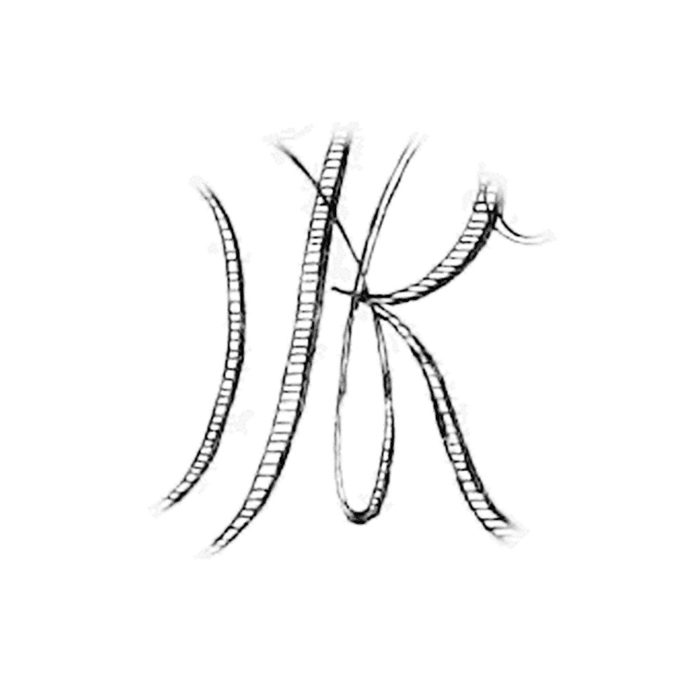 Plate IV - RN