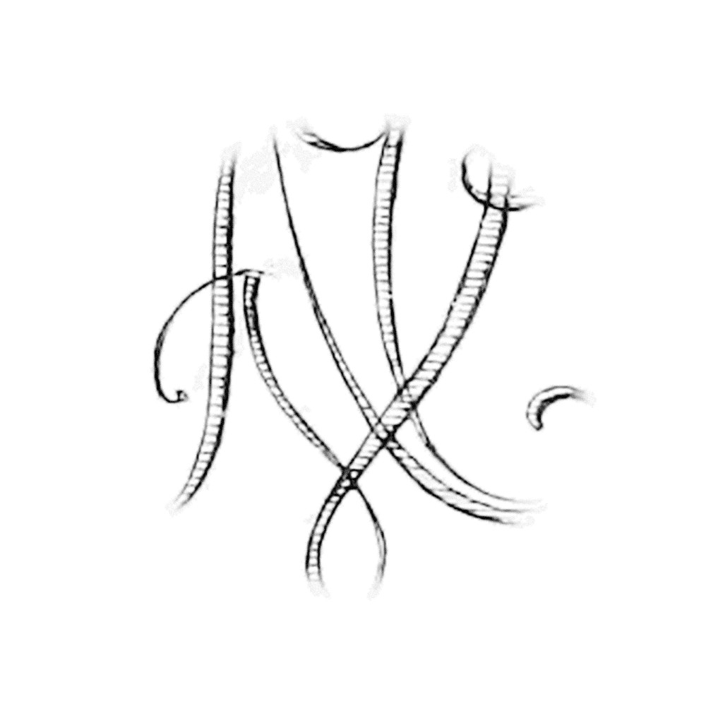 Plate V - NU