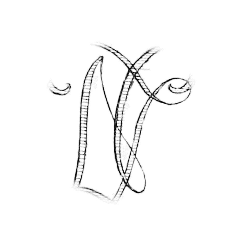 Plate IV - ZN