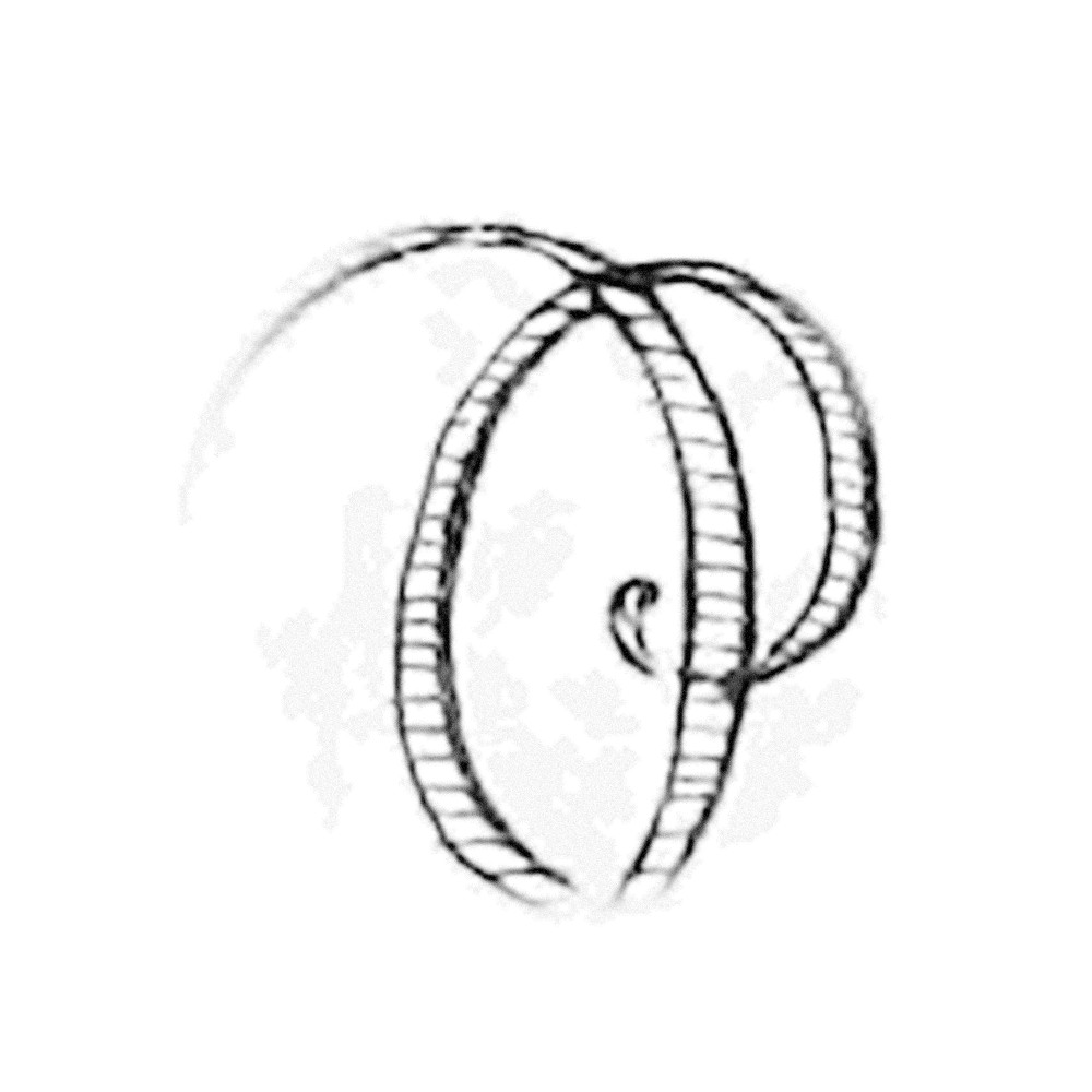 Plate III - OG