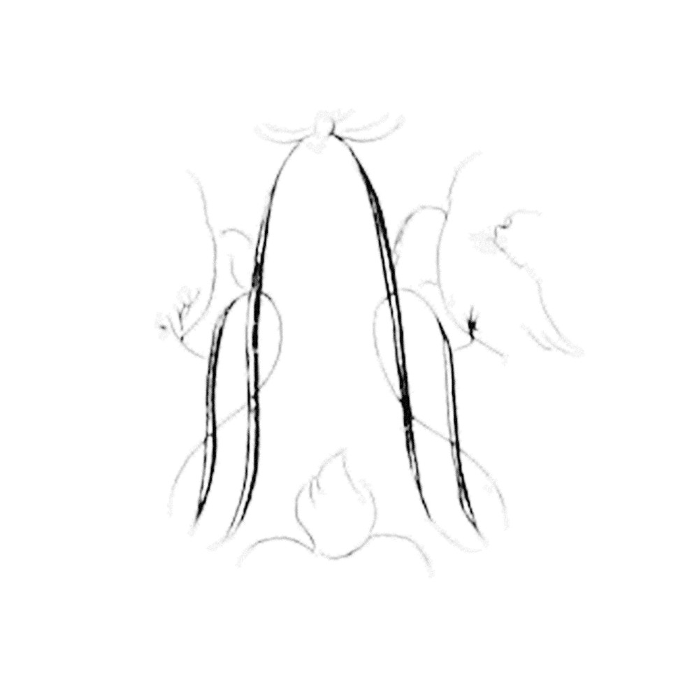 Plate III - OH
