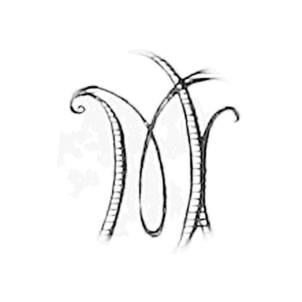 Plate III - OM