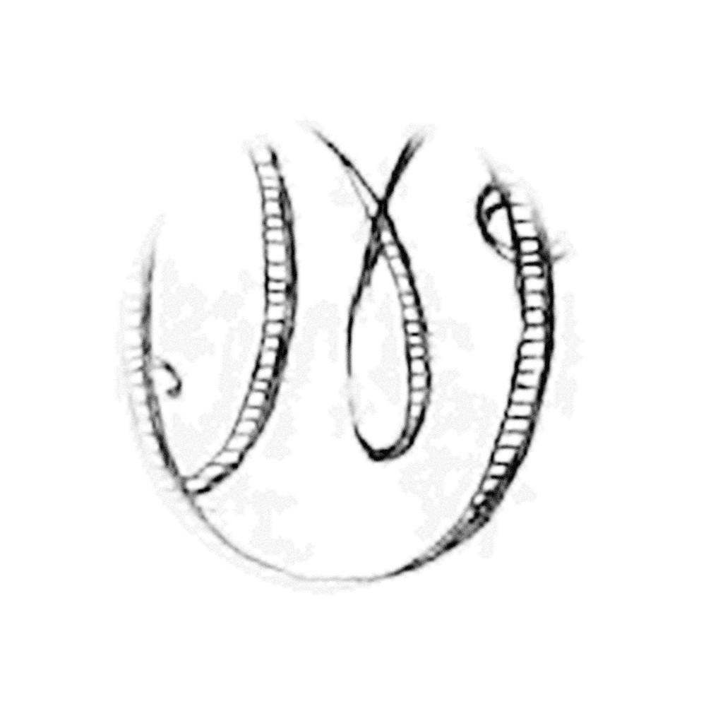 Plate III - ON