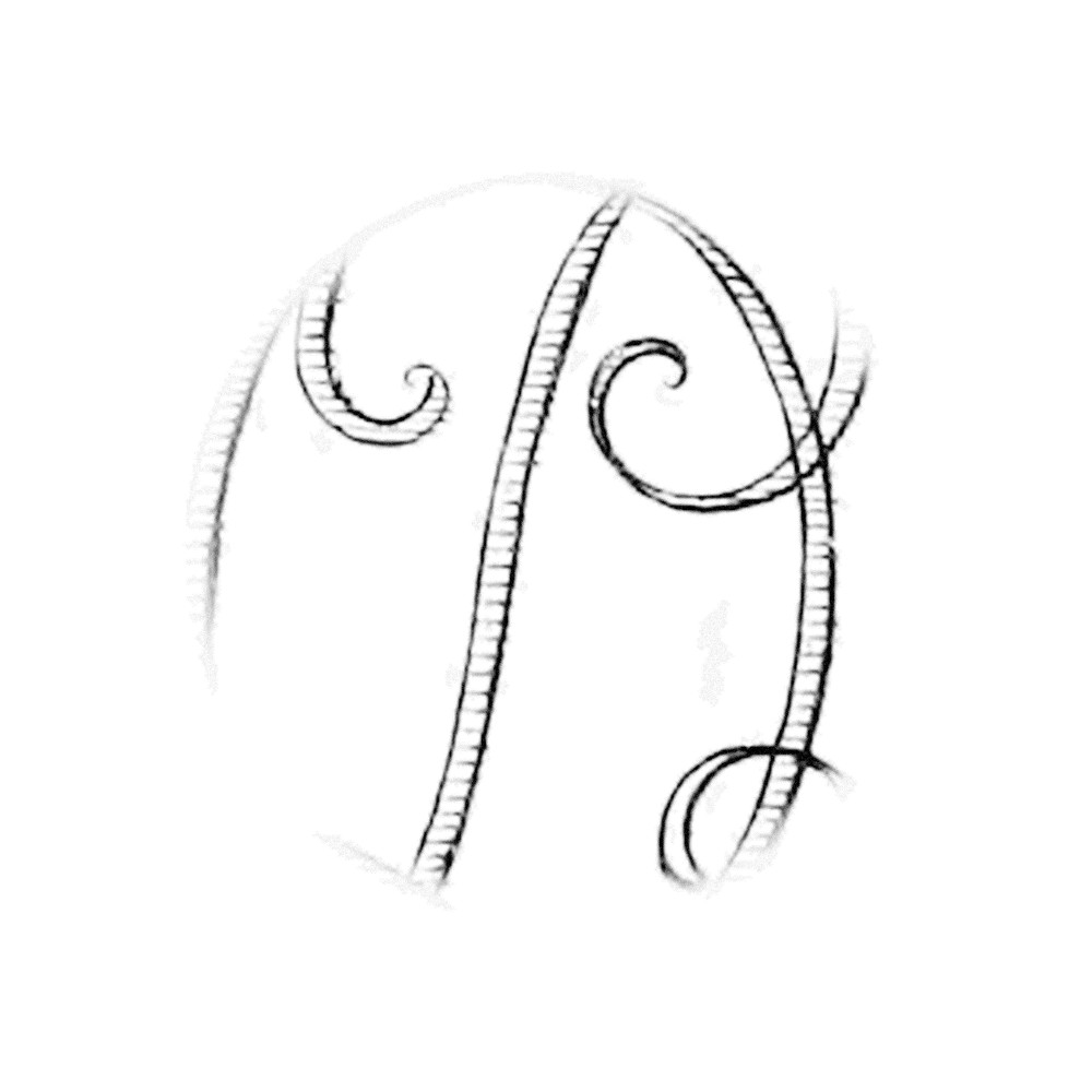 Plate III - OP