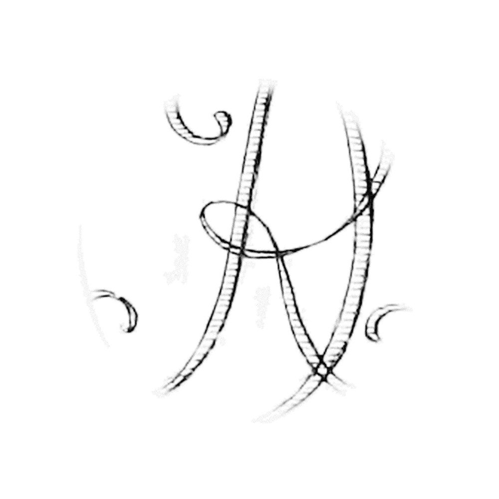 Plate II - RO