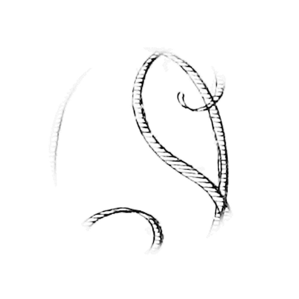 Plate III - OS
