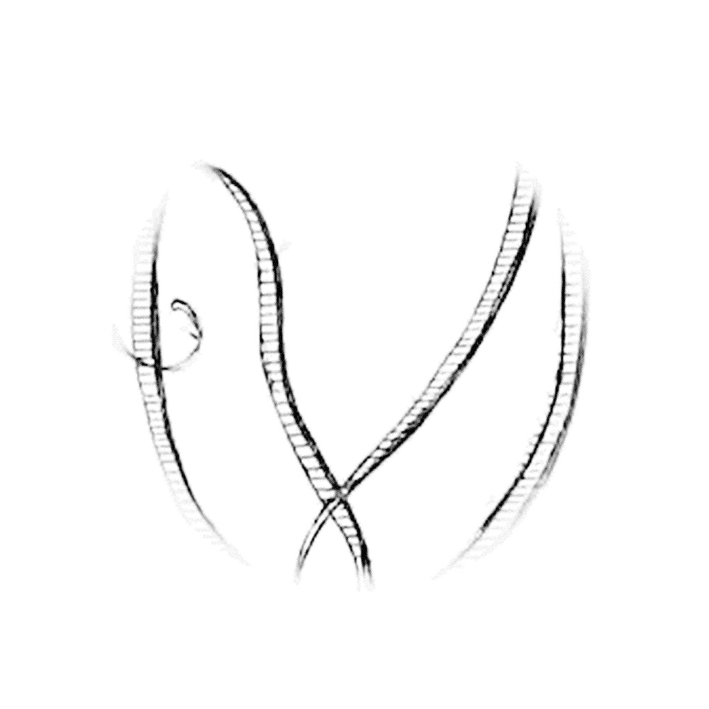 Plate II - UO