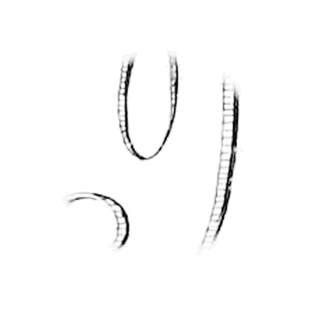 Plate II - YO