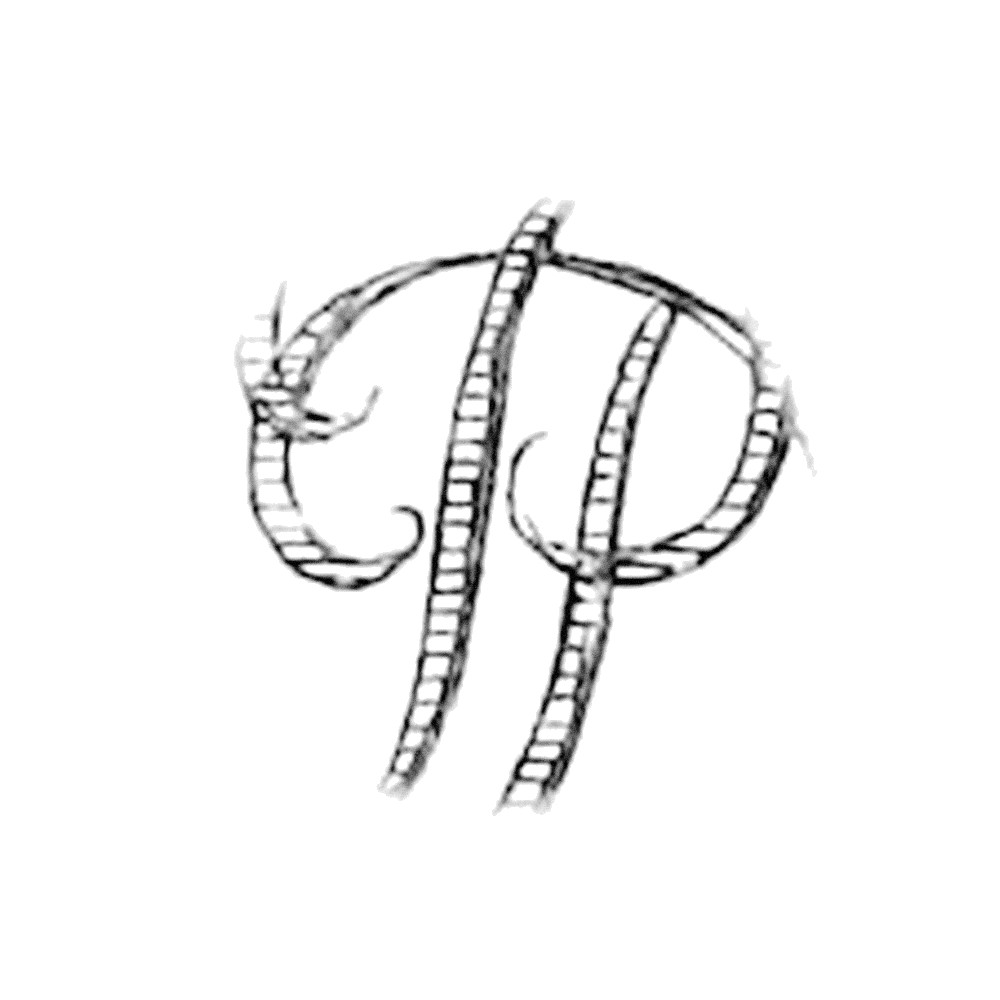Plate IX - DP