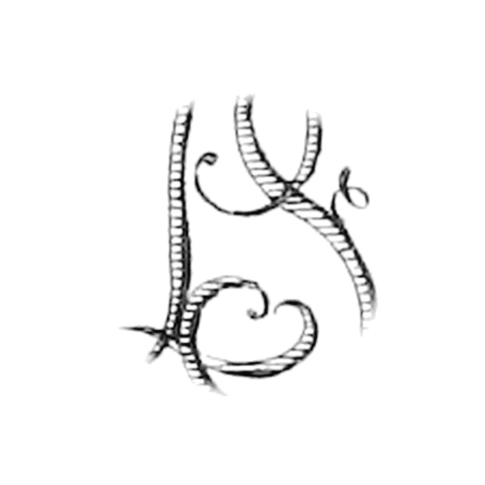 Plate VIII - FP