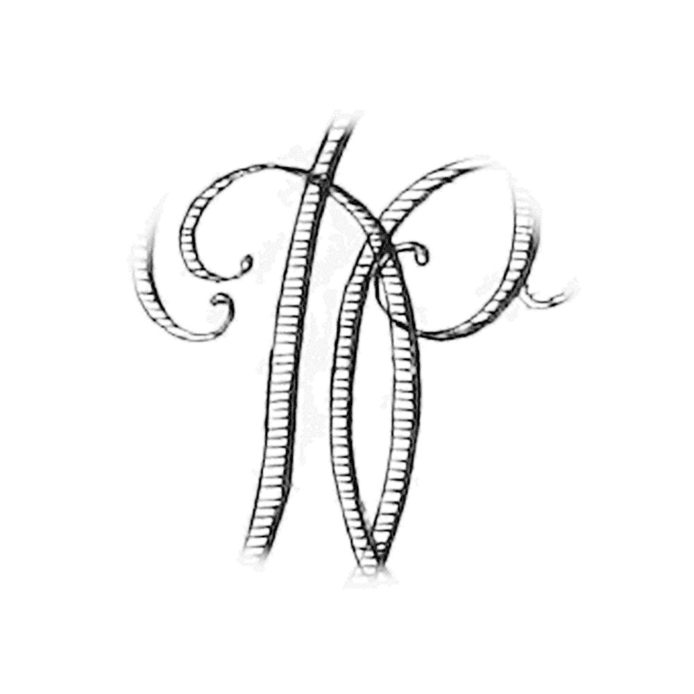 Plate VII - XP
