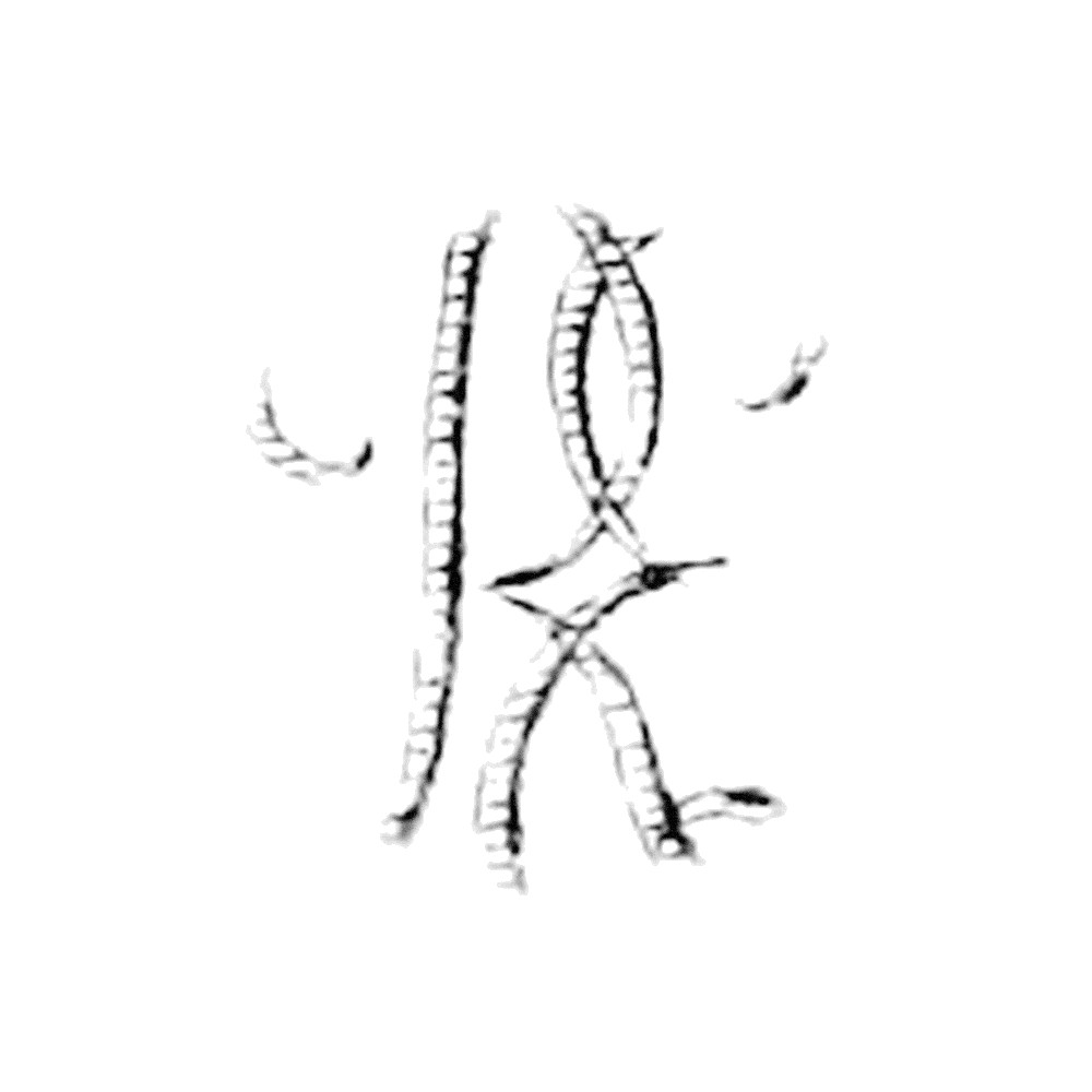Plate IX - ER