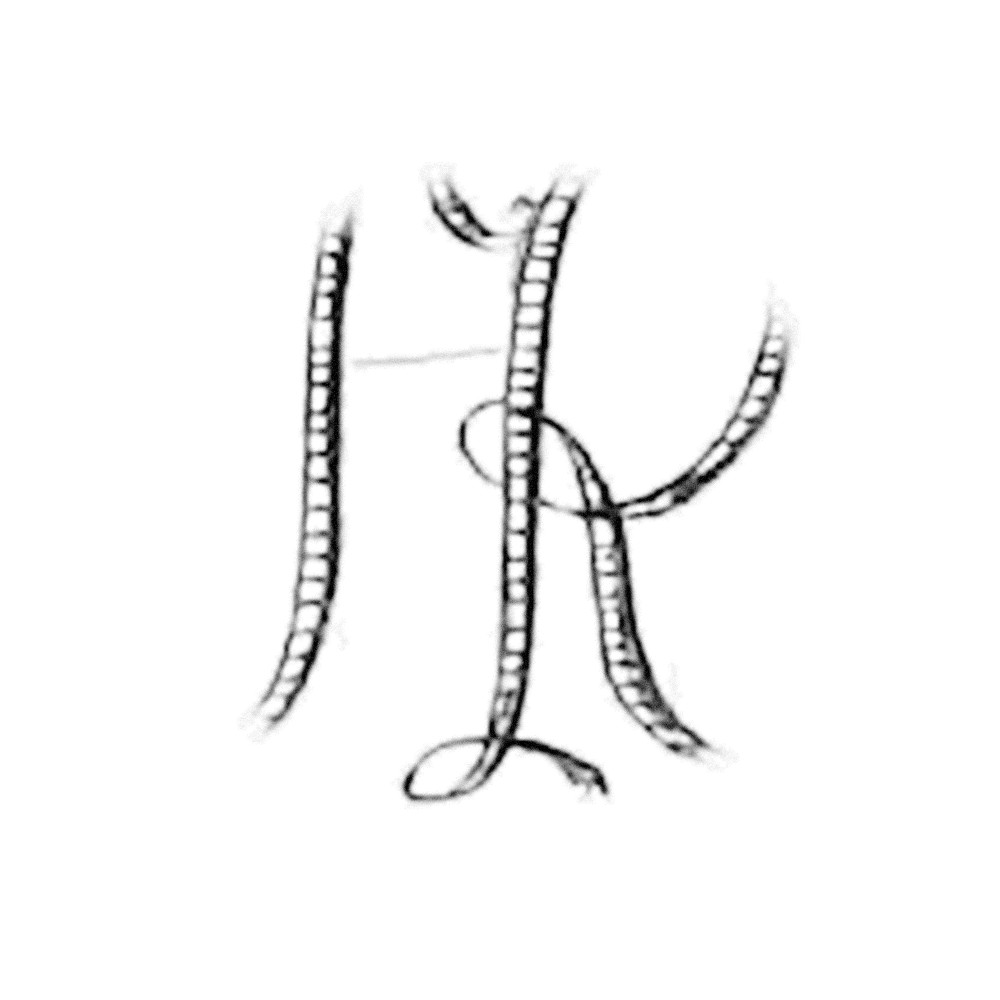 Plate V - RH