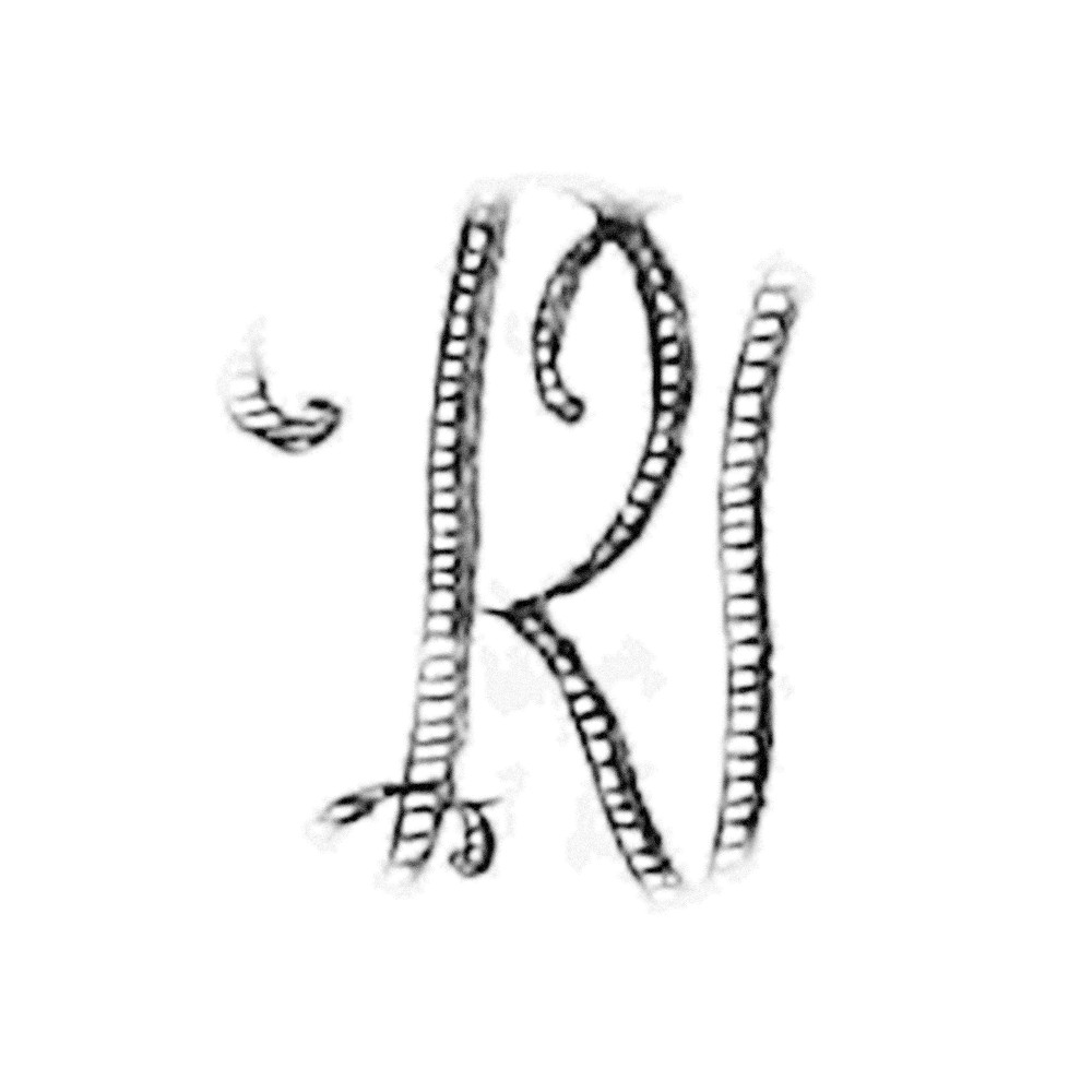 Plate V - RI