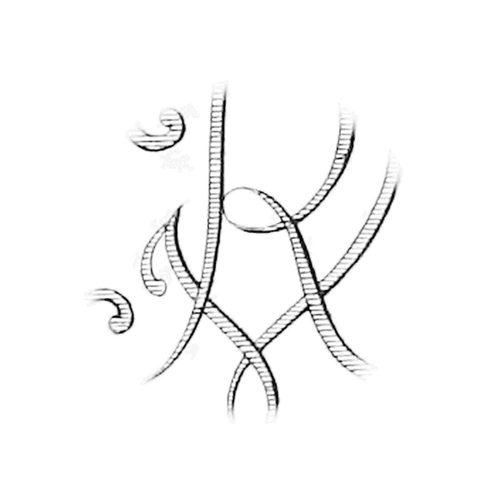 Plate IV - UR