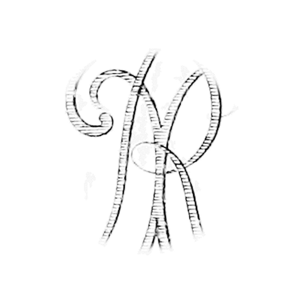 Plate X - RX